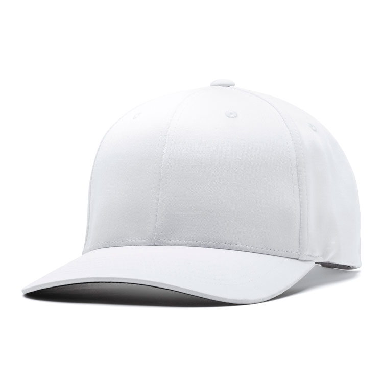 PUMA Men's P 110 Snapback Hat - Haight