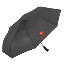 The Torch - Auto open & close compact umbrella