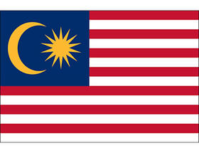 us/malaysia pin