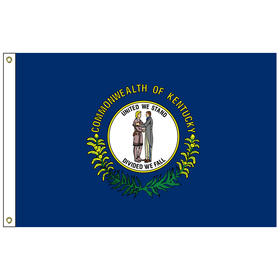 kentucky 12" x 18" nylon flag with heading and grommets