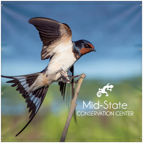 10' x 10' premium backdrop banner wall replacement banner