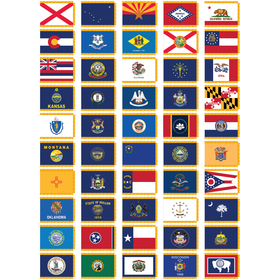 set of 50 4' x 6' indoor state nylon flags