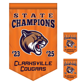 2' x 3' championship banner double sided v-cut