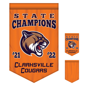 2' x 3' championship banner single sided with backliner v-cut