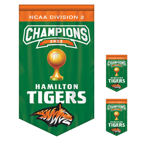 3' x 5' championship banner double sided v-cut