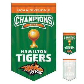 3' x 5' championship banner single sided v-cut