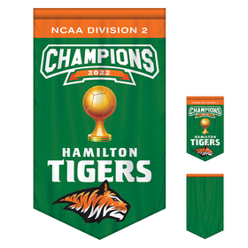 3' x 5' championship banner single sided with backliner v-cut