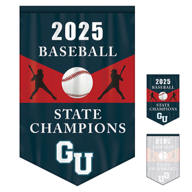 4' x 6' championship banner single sided v-cut