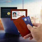 elite rfid id window card holder wallet