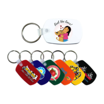 Standard Key Fob