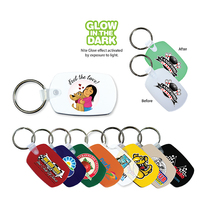 Standard Key Fob