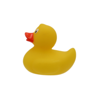 Promo Duck