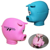 Pocket Piggy Coin Holder