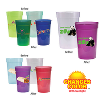 Sun Fun 17 oz. Stadium Cup