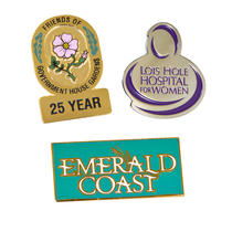 Cloisonné Plus Lapel Pin (0.5")